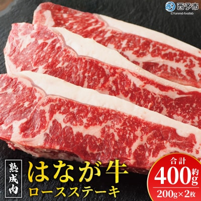 熟成肉 はなが牛 ロースステーキ 2枚(1枚200g)
