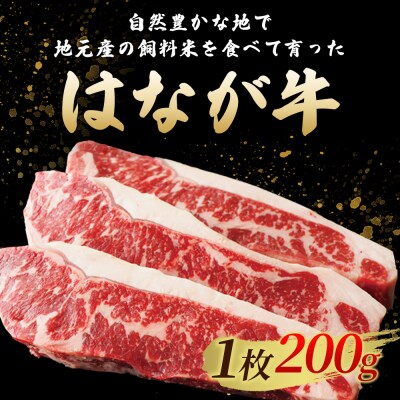 熟成肉 はなが牛 ロースステーキ 2枚(1枚200g)