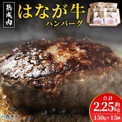 【愛媛県産 はなが牛100%使用】 添加物不使用・つなぎ不使用 はなが牛ハンバーグセット  15個入