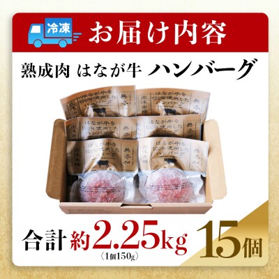 【愛媛県産 はなが牛100%使用】 添加物不使用・つなぎ不使用 はなが牛ハンバーグセット  15個入