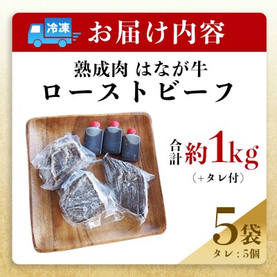 <熟成肉 はなが牛ローストビーフ 5袋(1袋200g)> 牛肉 牛 肉 ろーすとびーふ 国産 タレ