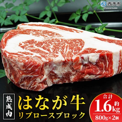 熟成肉 はなが牛リブロースブロック(800g×2個) 鉄板焼き 焼肉塊肉 かたまり 霜降り