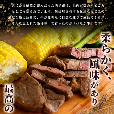 熟成肉 はなが牛 ロースステーキ 10枚(1枚200g) ステーキ サーロイン ブランド牛