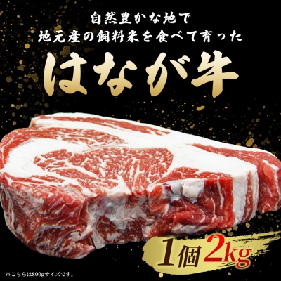 <熟成肉 はなが牛リブロースブロック 約2kg> 牛肉 牛 肉 ステーキ ブランド牛 鉄板焼き 焼肉