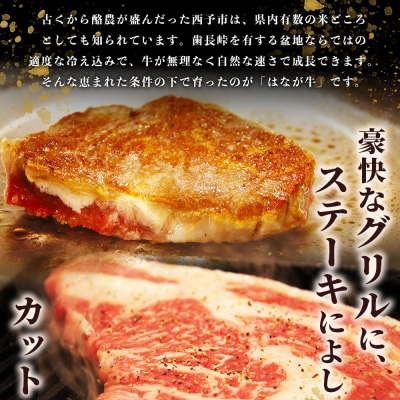 <熟成肉 はなが牛リブロースブロック 約2kg> 牛肉 牛 肉 ステーキ ブランド牛 鉄板焼き 焼肉