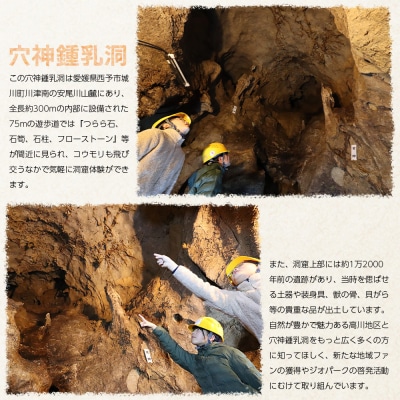 鍾乳洞発見体験(ぼくらの穴神鍾乳洞発見物語(絵本1冊)+入洞ペアチケット+ガイドとおもてなし)