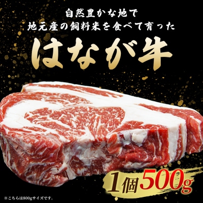 熟成肉 はなが牛リブロースブロック(500g×1個) 鉄板焼き ステーキ 焼肉塊肉 かたまり 霜降り