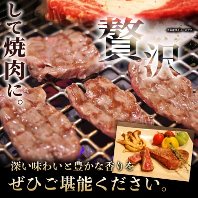 熟成肉 はなが牛リブロースブロック(500g×1個) 鉄板焼き ステーキ 焼肉塊肉 かたまり 霜降り