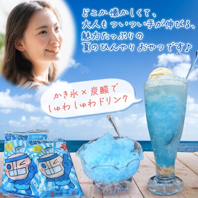 <袋かき氷 ソーダ味 20袋入り> かき氷 ソーダ味 135ml 氷菓 シャーベット 袋氷
