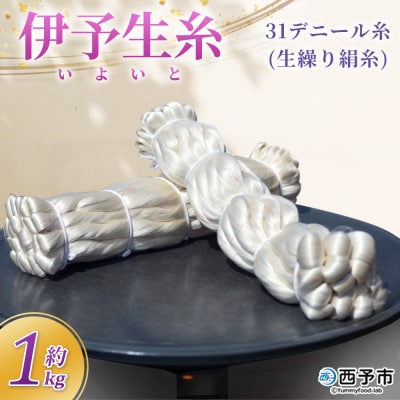 <伊予生糸(31デニール糸)約1kg> 国産 伊予生糸 いよいと 伊予 生糸 国産生糸 西予産
