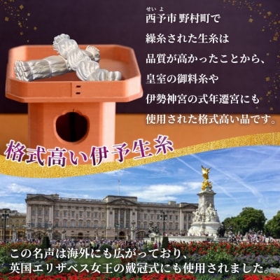 <伊予生糸(31デニール糸)約1kg> 国産 伊予生糸 いよいと 伊予 生糸 国産生糸 西予産
