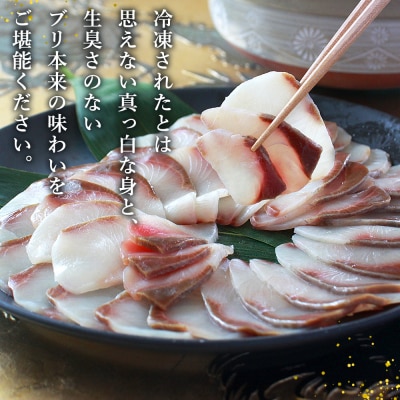<超冷薫 冷凍ぶりスライス 合計500g(250g×2皿)> 定期便 タレ付 超冷薫 カルパッチョ 