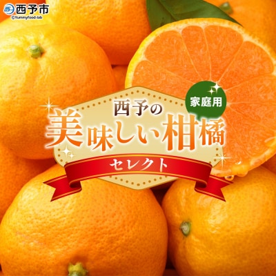 <西予の美味しい柑橘セレクト(ご家庭用)> 果物 くだもの フルーツ 蜜柑 みかん ミカン