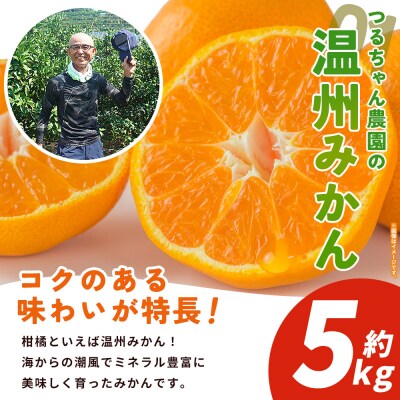 <西予の美味しい柑橘セレクト(ご家庭用)> つるちゃん農園　5kg 蜜柑 みかん ミカン