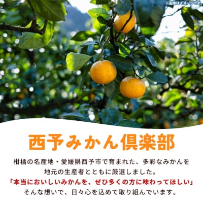 <西予の美味しい柑橘セレクト(ご家庭用)> 果物 くだもの フルーツ 蜜柑 みかん ミカン