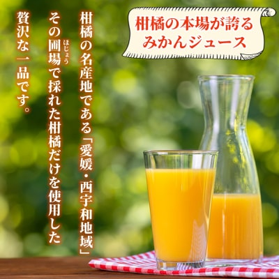 <媛一ジュース みかん 720ml×6本> 国産 オレンジジュース みかんジュース 果汁100% 