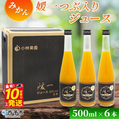 <媛一つぶ入りジュース みかん 500ml×6本> 国産 つぶ入り オレンジジュース みかんジュース