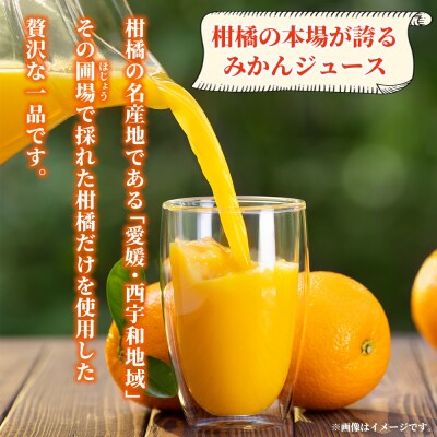 <媛一つぶ入りジュース みかん 500ml×6本> 国産 つぶ入り オレンジジュース みかんジュース