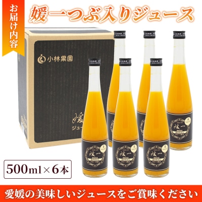 <媛一つぶ入りジュース みかん 500ml×6本> 国産 つぶ入り オレンジジュース みかんジュース