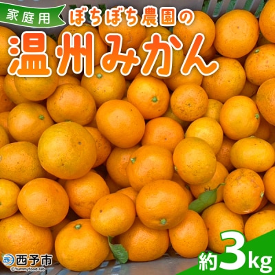 <ぼちぼち農園の温州みかん 家庭用 3kg> 選べる 3キロ うんしゅうみかん