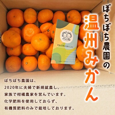 <ぼちぼち農園の温州みかん 家庭用 3kg> 選べる 3キロ うんしゅうみかん