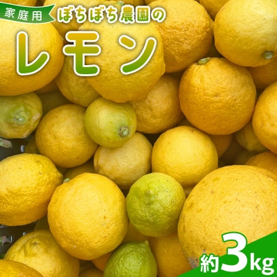 <ぼちぼち農園のレモン 家庭用 約3kg> 3キロ レモン れもん 檸檬 訳あり