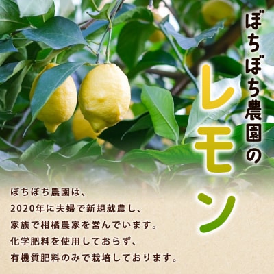 <ぼちぼち農園のレモン 家庭用 約3kg> 3キロ レモン れもん 檸檬 訳あり