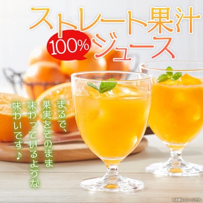マルワフルーツ柑橘アソート ストレートジュース 500ml×8本　みかん 柑橘 フルーツ 詰め合わせ