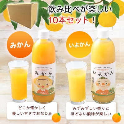 マルワフルーツ柑橘アソート 100%ストレート果汁ジュース 500ml×10本 みかん 柑橘 