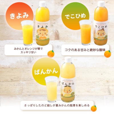 マルワフルーツ柑橘アソート 100%ストレート果汁ジュース 500ml×10本 みかん 柑橘 