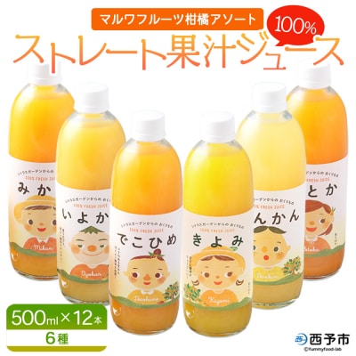 マルワフルーツ柑橘アソート ストレートジュース 500ml×12本　みかん 柑橘