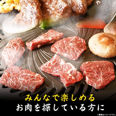 <やわらか味付き 牛ハラミ 約500g> 特製タレ漬け 訳あり牛肉 肉 はらみ おいしい