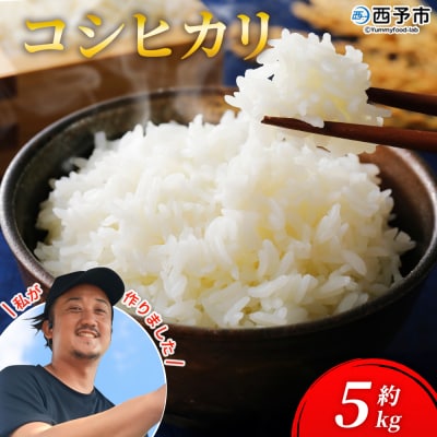新米<令和7年産 愛媛県西予市産 コシヒカリ 5kg > こしひかり 国産 KAZUファーム