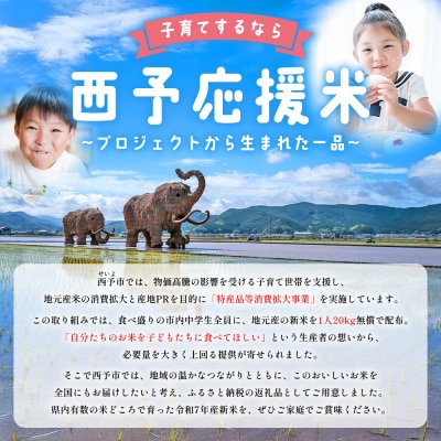 新米<令和7年産 愛媛県西予市産 コシヒカリ 5kg > こしひかり 国産 KAZUファーム