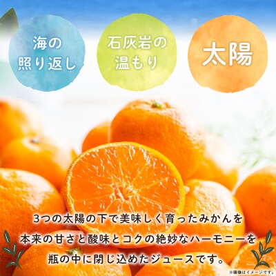 <夕焼け山農園の柑橘ジュースお楽しみセット 720ml×1本/200ml×4本> ストレートジュース
