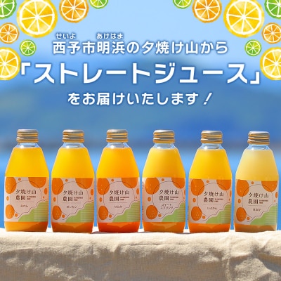 <夕焼け山農園の柑橘ジュース 飲み比べセット 200ml×12本> 6種 12本 ストレートジュース