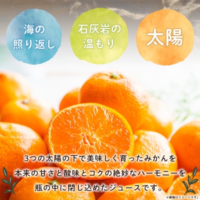 <夕焼け山農園の柑橘ジュース 飲み比べセット 200ml×12本> 6種 12本 ストレートジュース
