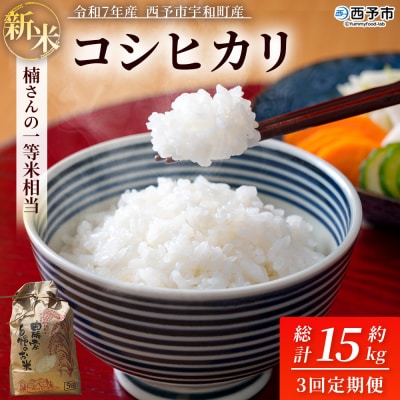 新米 <令和7年産 コシヒカリ 約5kg  3回定期便 楠さんの一等米相当
