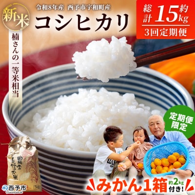 新米 <令和8産 コシヒカリ 約5kg  3回定期便 楠さんの一等米相当&みかん