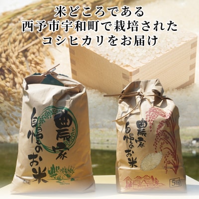 新米 <令和7年産 コシヒカリ 約5kg  3回定期便 楠さんの一等米相当
