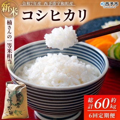 新米 <令和7年産 コシヒカリ 約10kg 6回定期便 精米 楠さんの一等米相当