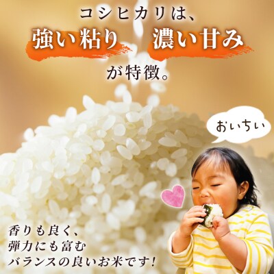 新米 <令和8年産 コシヒカリ 約10kg 6回定期便 精米 楠さんの一等米相当 みかん