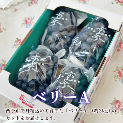 西予の美味しいぶどうおまかせセット ベリーA約2㎏(岡山農園)