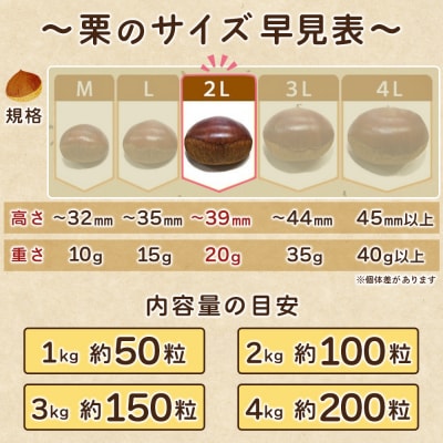生栗 2Lサイズ(3kg)大きい 甘い 生栗 城川ファクトリー