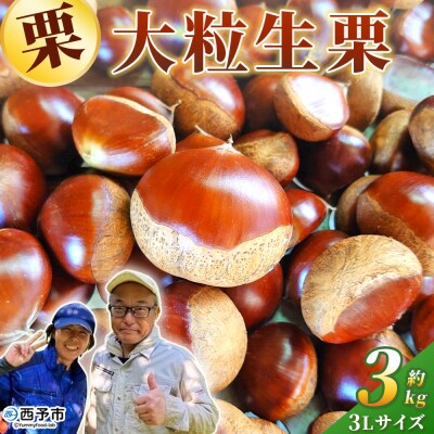 大粒生栗 3Lサイズ 約3kg　大きい 甘い　産地直送 城川ファクトリー