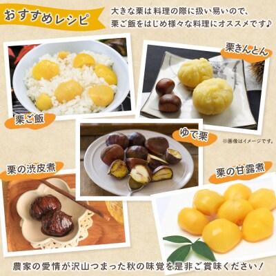 大粒生栗 3Lサイズ 約3kg　大きい 甘い　産地直送 城川ファクトリー