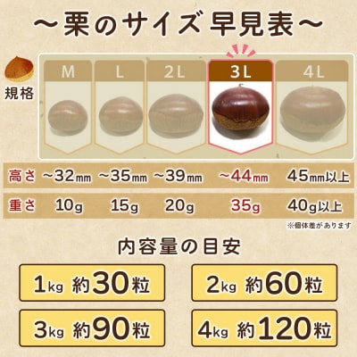 大粒生栗 3Lサイズ 約3kg　大きい 甘い　産地直送 城川ファクトリー