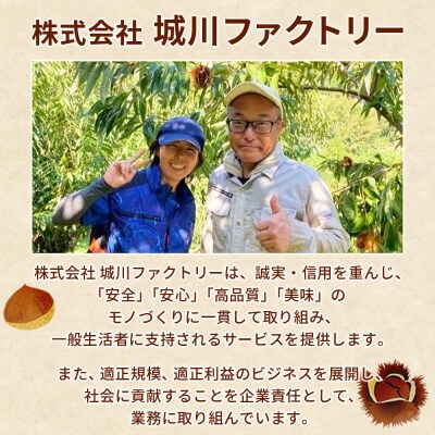 とっても大きい!プレミア生栗 4Lサイズ 　約2kg　大きい 甘い　産地直送　 城川ファクトリー