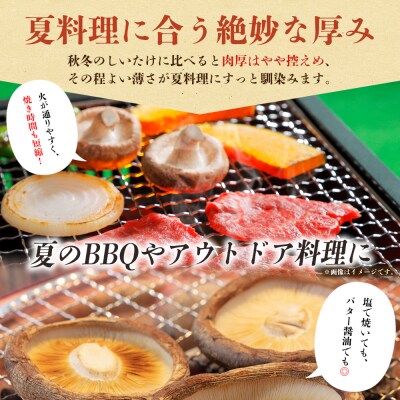 <夏季限定 原木生しいたけ(優品) 100g×5パック> 合計500g 数量限定 期間限定 
