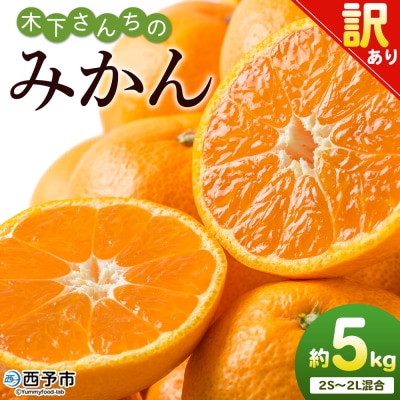 <木下さんちのみかん 訳あり 約5kg(2S～2Lサイズ混合)> 選べる わけあり 家庭用 柑橘